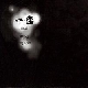 그만해 。 앨범이미지