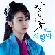 사랑아 (가이드멜로디) 앨범이미지