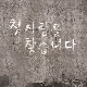 첫사랑을 찾습니다 (가이드멜로디) 앨범이미지