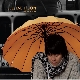 My Love 앨범이미지