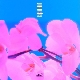 夢中夢 (몽중몽; Dream In A Dream) (가이드멜로디) 앨범이미지