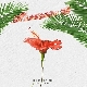 1ll Recognize 1ll 앨범이미지