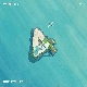 ISLAND 앨범이미지