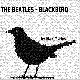 Blackbird 앨범이미지