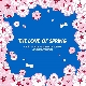 BLOSSOM (Prod. Groovyroom) 앨범이미지