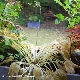 Help (가이드멜로디) 앨범이미지