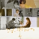 안녕, 오늘의 그대에게 앨범이미지
