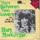 Torn Between Two Lovers 앨범이미지