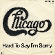 Hard To Say I'm Sorry (2024) (가이드멜로디) 앨범이미지
